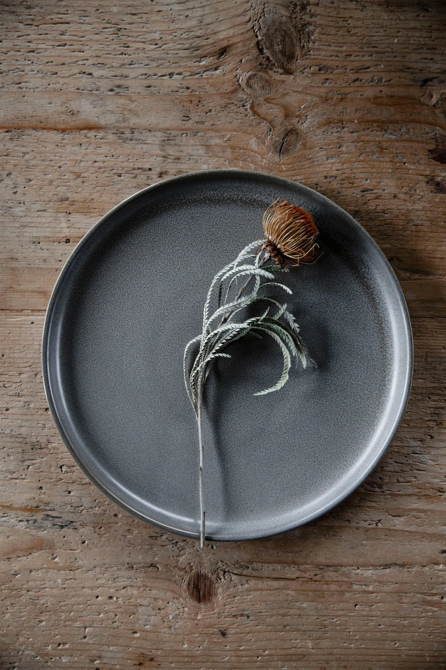 Ernst Teller 25 Cm, Grau 2 Ernst Teller 25 Cm, Grau – Bild 2