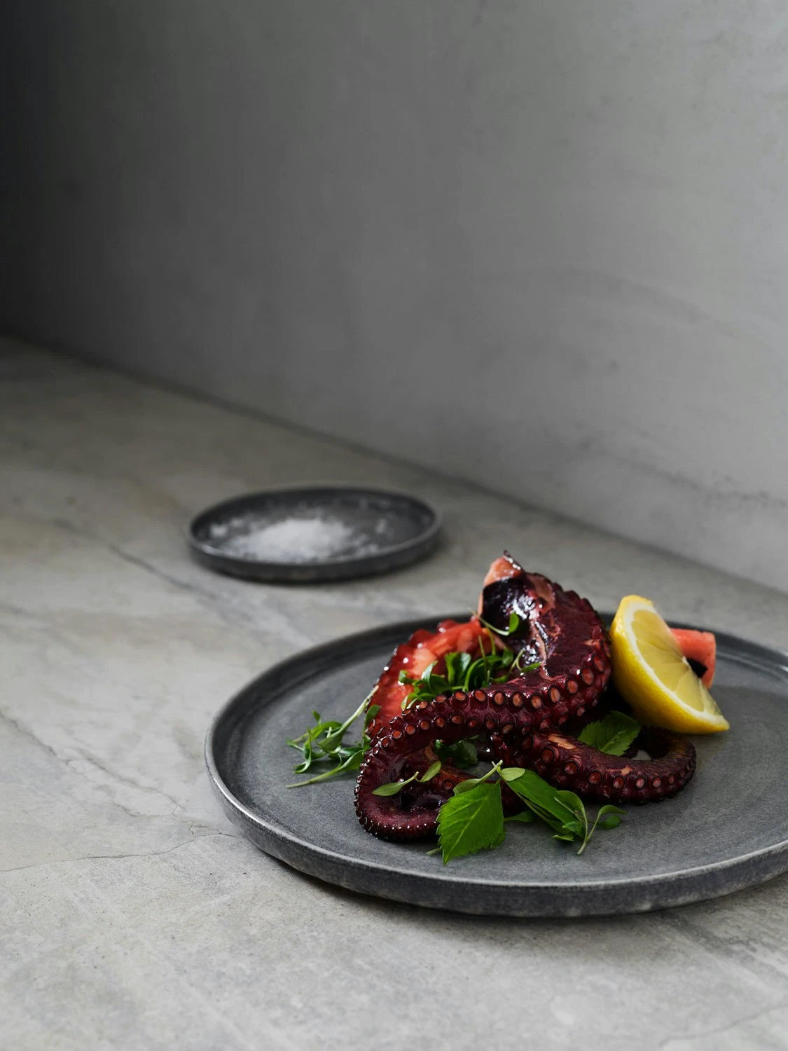 Mateus Sam Baron & Yatzer Teller 13cm, Grau 6 Mateus Sam Baron & Yatzer Teller 13cm, Grau – Bild 6