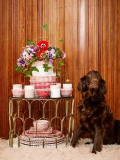 Mateus Schale Basic Oyster Mini Ø 13 Cm, Rosa -Günstiges Tafelglanz Geschäft mateus schale basic oyster mini 13 cm wei 39